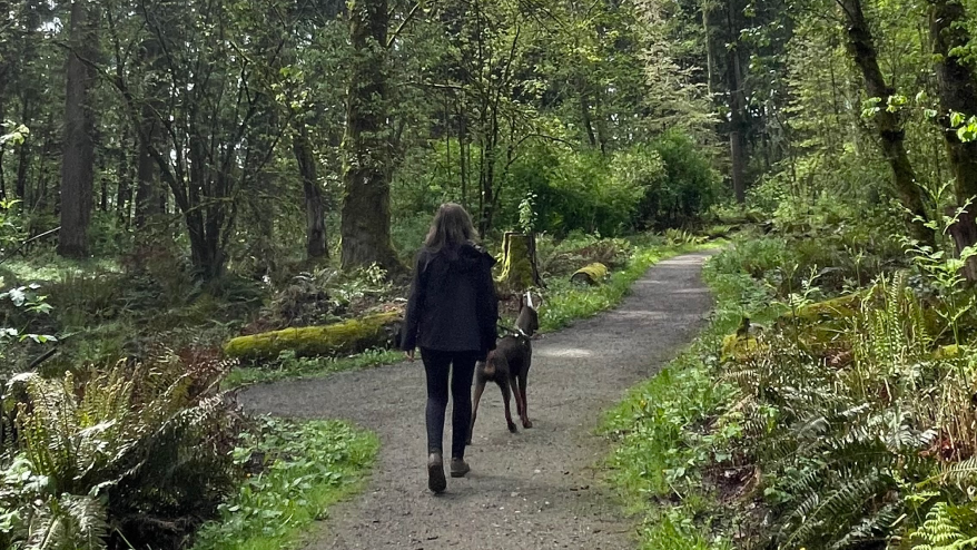 Alana exploring the lush forest walking with a big dog into the woods.