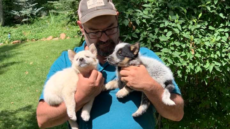 Jeff posing in a grey ballcap and blue t-shirt holding two adorably fuzzy puppies, one white, and one with black spots and white fur, posing by a green lawn and bush.