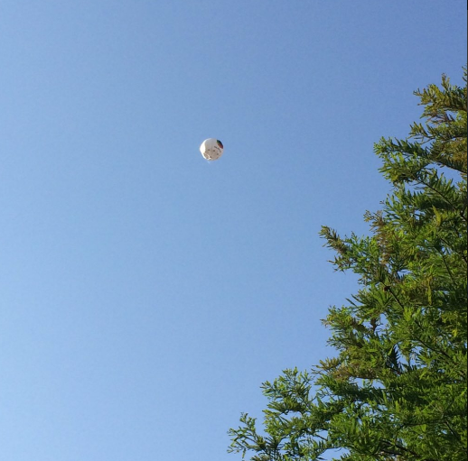 The Kalamuna balloon floating away