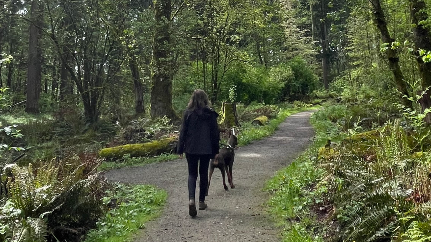 Alana exploring the lush forest walking with a big dog into the woods. 