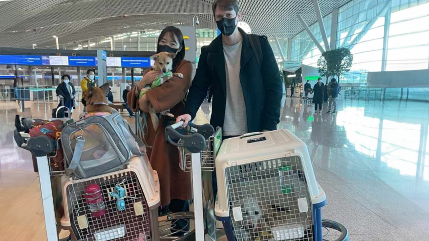Eugene posing with her partner holding a dog with two other dogs in crates in a large open airport check-in section.