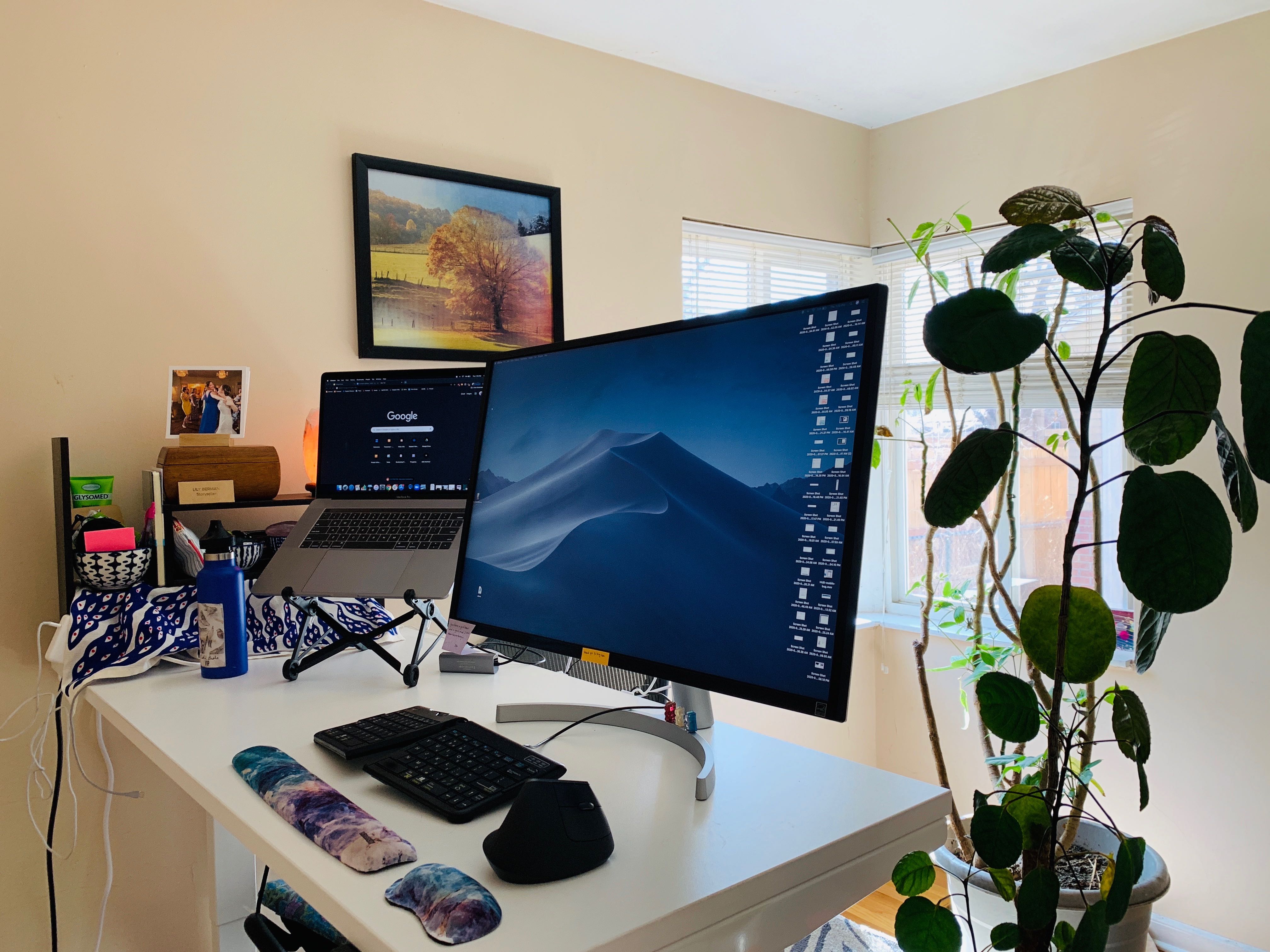 Lily's ergonomic work station is built on top of a solid .stand-up desk