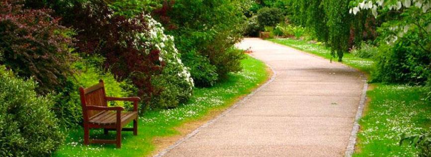 Image of lush garden with path cleared.