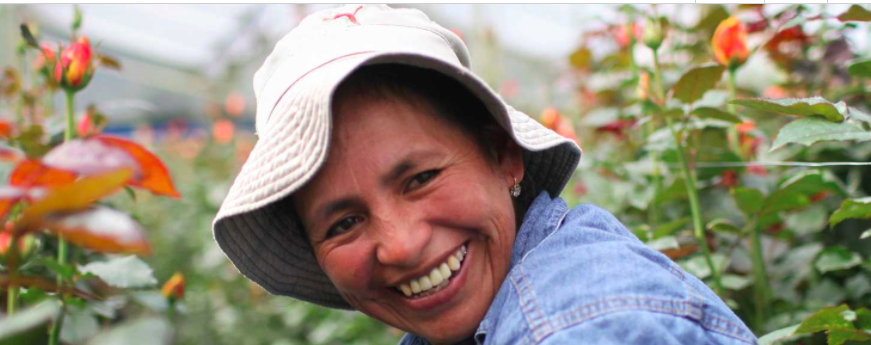 Woman smiles in coffee field
