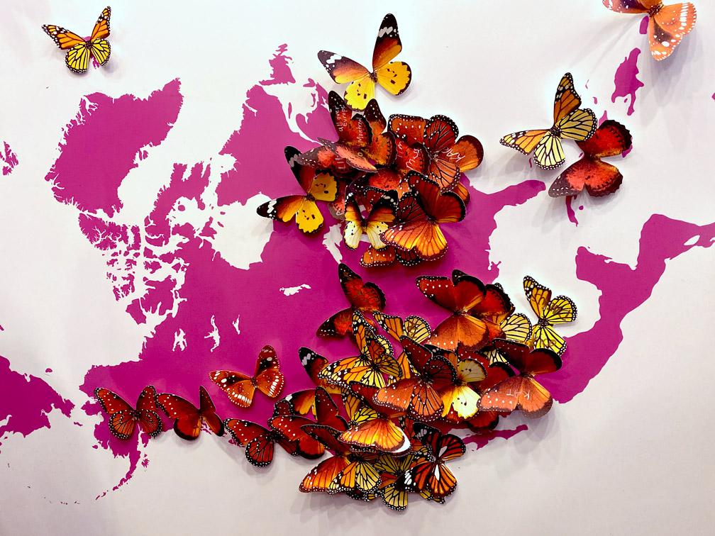 Image of paper butterflies pinned to a map to represent origins and migration