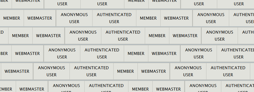 Grid of user permissions labels