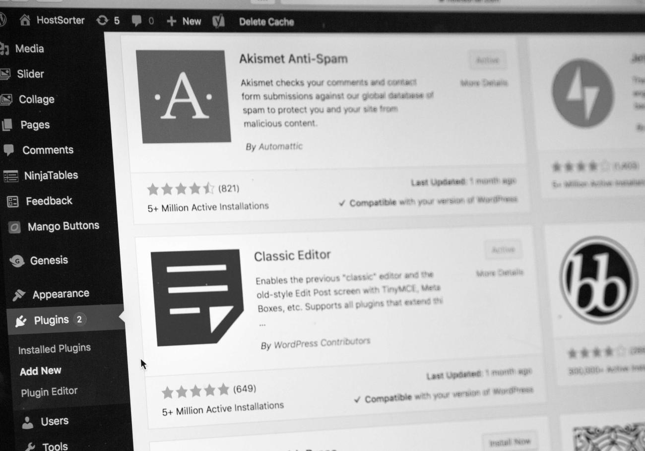 A screenshot of the WordPress dashboard, open to the Plugins screen. Two common, popular plugins are seen on the screen.